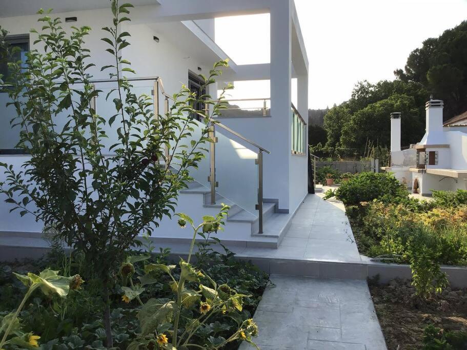 Zante Luxury Apartment Argassi Buitenkant foto